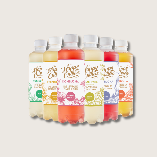 Kombucha 330ml Bottle