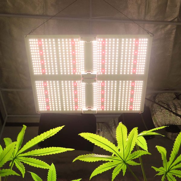400wplantgrowlight_2048x 400W Full Spectrum Led Quantum Board LED Grow Lights