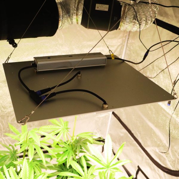 400wplantgrowthlight_2048x 400W Full Spectrum Led Quantum Board LED Grow Lights