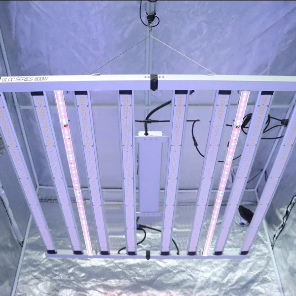 4_c2df2a49-a218-4934-80f6-cc4fd2eda21d_2048x 60w UV+IR LED supplemental grow lights for 640w/720w/800w grow lights
