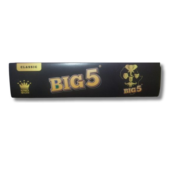 Big 5 Paper with Tips